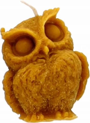 Élethű bagoly részletek