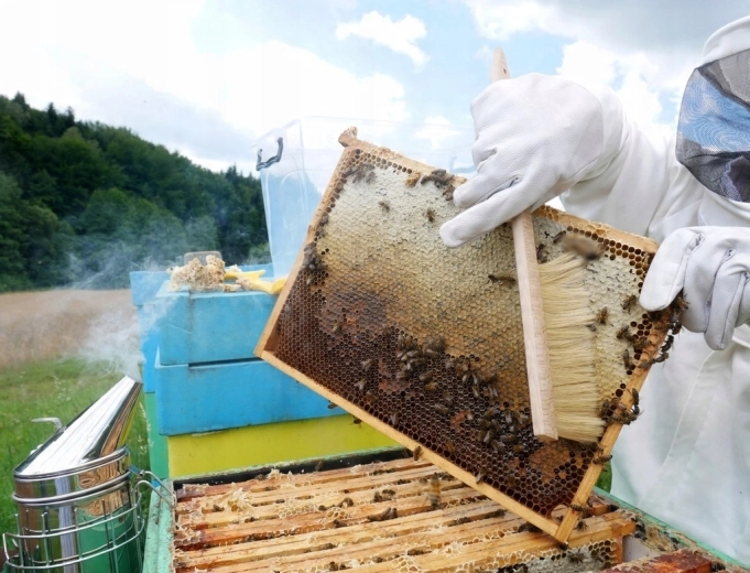 Finom, stresszmentes méhlesöprés