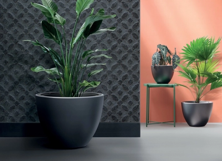 Modern, minimalista megjelenés