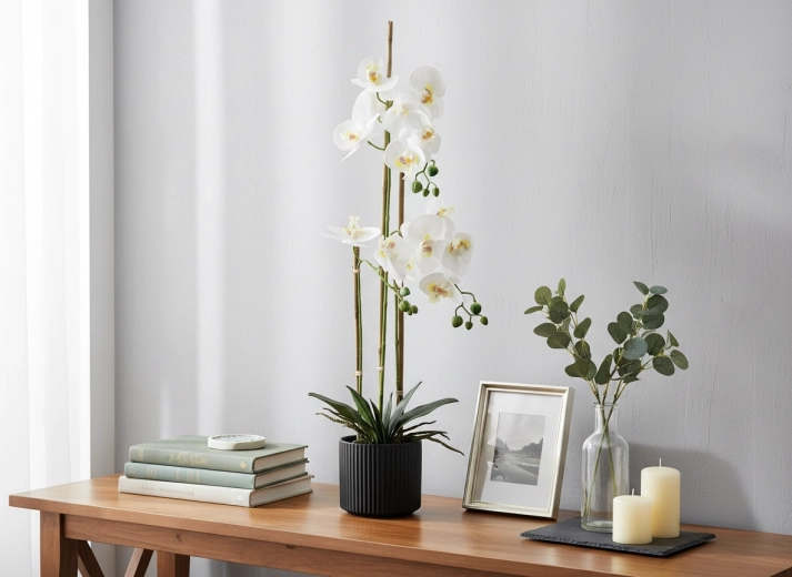 Ideális magasság 77 cm