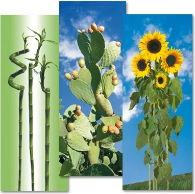 Gimi pamut huzat vasalódeszkára i love S/M 129 × 48 cm