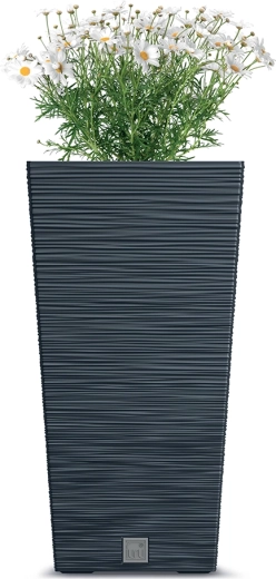 Elegáns design és kompakt forma