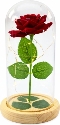 Elegáns védő üvegkupola