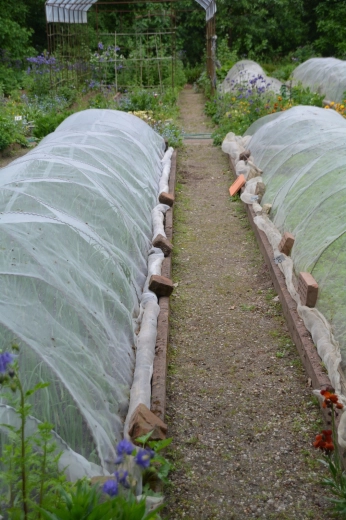 Hatékony pajzs a szél és a kártevők ellen