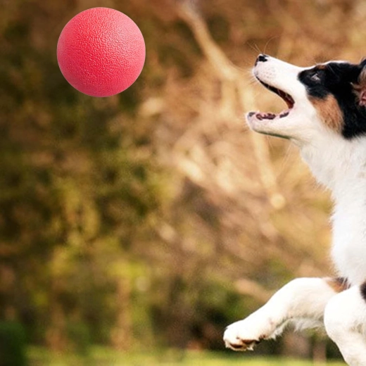 Tartós, tömör gumi intenzív rágáshoz