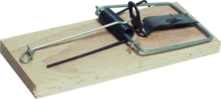 Klasszikus bükkfa egércsapda