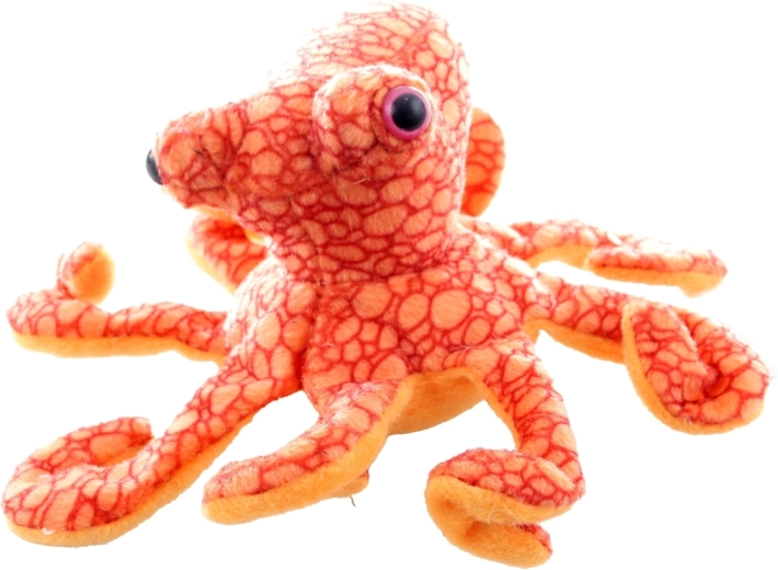 Biztonságos születéstől (0+)