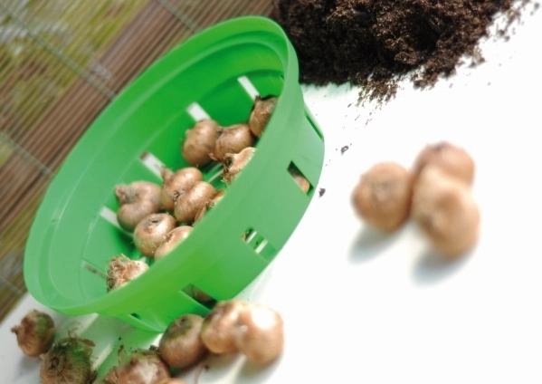 Védelem a kártevők ellen és rend az ágyásban