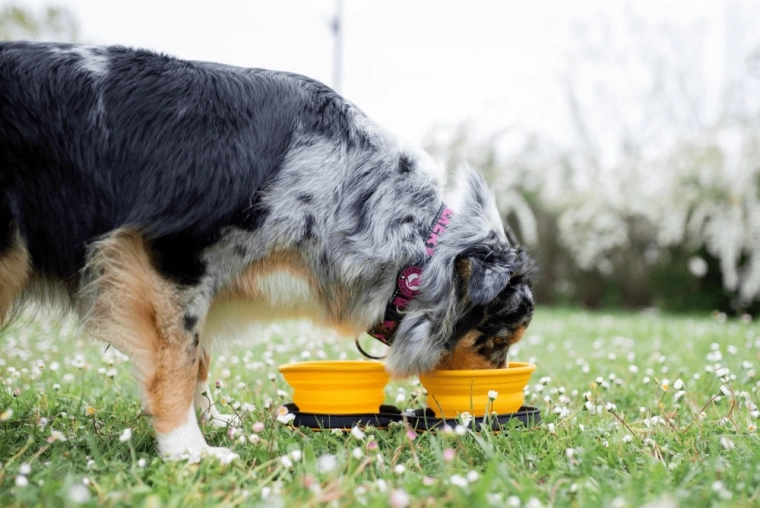 Gyors használat bárhol