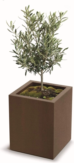 Egészséges növekedés vízelvezető nyílásokkal