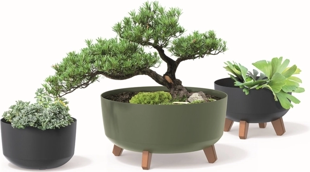 Környezetbarát ECO WOOD kollekció