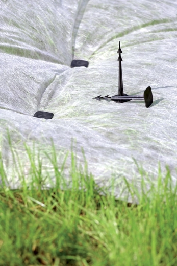 Széles fej a maximális leszorításhoz