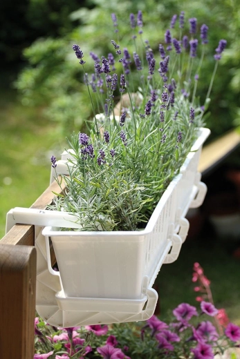 Állítható szélesség a legtöbb korláthoz