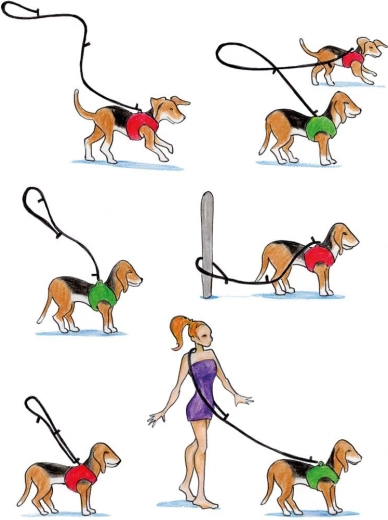 Három állítható hossz minden helyzetre