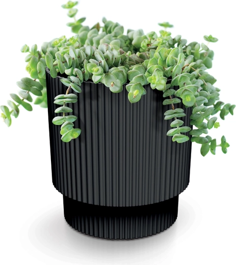 Az egészséges növekedés támogatása