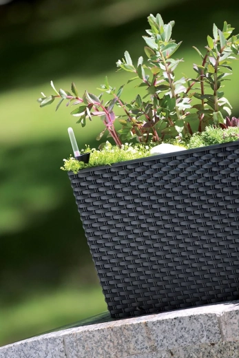 Stílusos rattan dizájn beltérre és kültérre