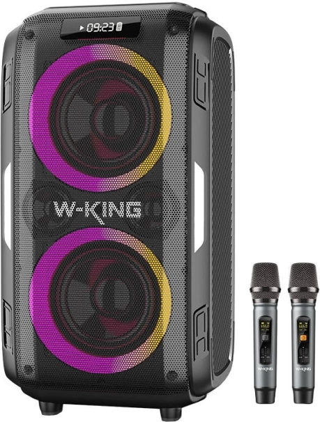 Vezeték nélküli W-KING T9 Pro hangszóró 120 W teljesítménnyel és 2 mikrofonnal – fekete