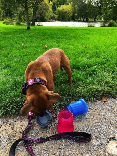 Utazótál egy pillanat alatt