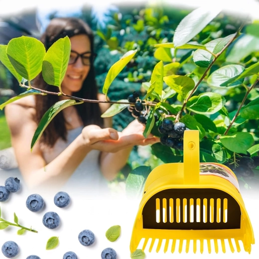 Tisztább termés levelek nélkül