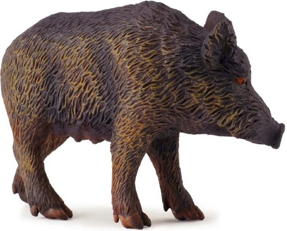 Vaddisznó – koca COLLECTA