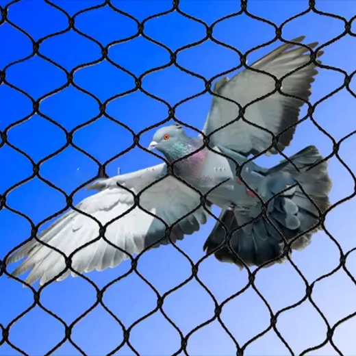 Hatékony védelem a madarak ellen