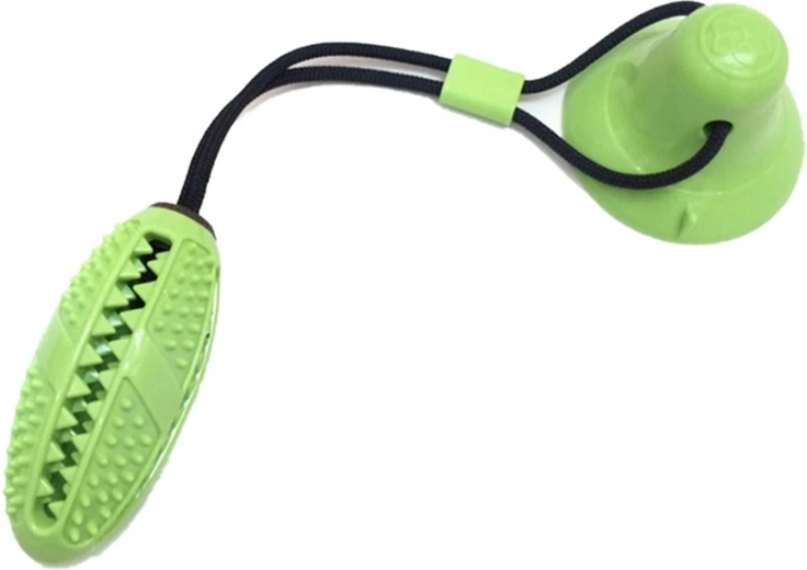 Fogtisztítás és ínymasszázs