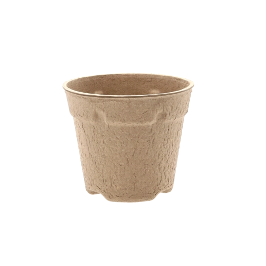 Átültetési stressz nélkül