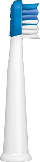 Alapos fogtisztítás