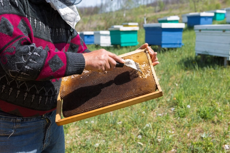 Gyorsabb munka a méhészetben