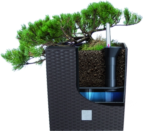 Kivehető betét a könnyű ültetéshez