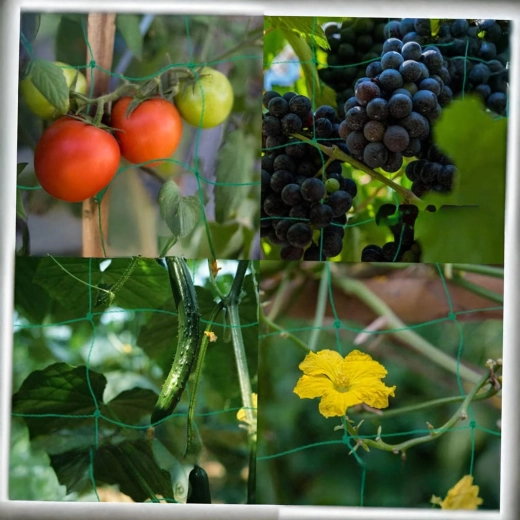 Sokoldalú felhasználás kertben és üvegházban