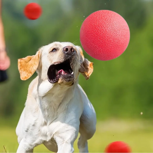 Kíméletes a fogakhoz, támogatja a szájhigiéniát