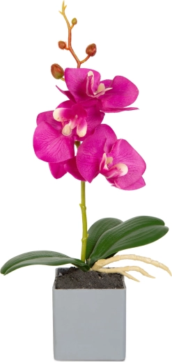 Az orchidea élethű megjelenése