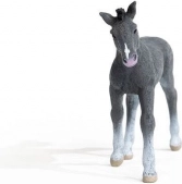 Valódi fajták ihlették