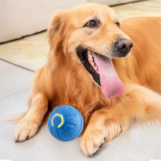 Tartós és biztonságos dizájn fogakhoz és mancsokhoz