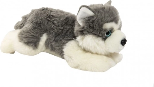 Plüss Husky kutya gyerekeknek