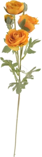 Művirág boglárka (Ranunculus) sárga, 66 cm