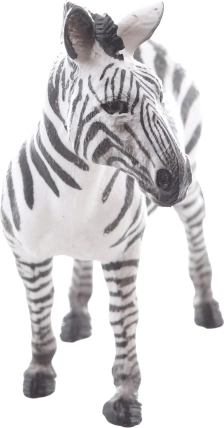 Ideális oktatáshoz és gyűjteményekhez