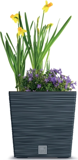 Növényekhez beltéren és kültéren