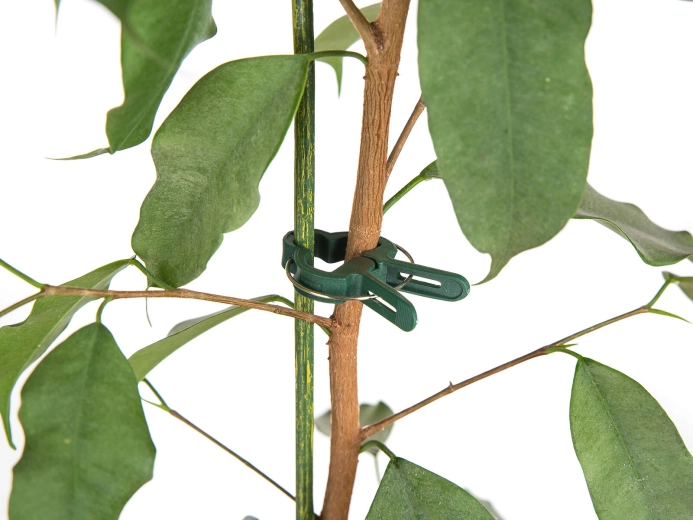 Gyors és kíméletes szár­rögzítés