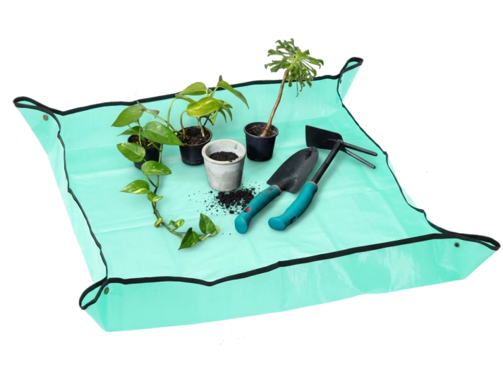 Megemelt peremek a rendezettségért