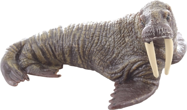 Tartós műanyag kialakítás