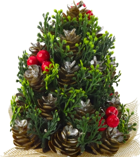 Élethű toboz- és bogyórészletek