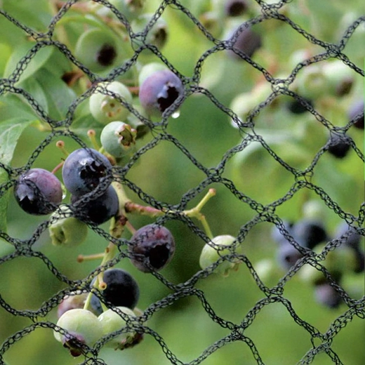 Megbízható védelem a termésnek és a növényeknek