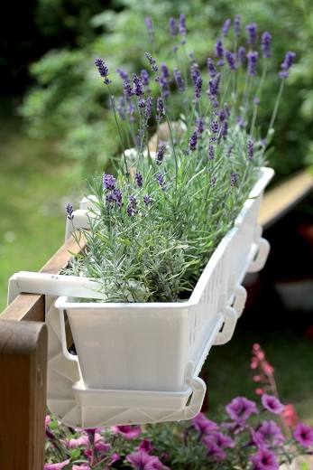 Letisztult dizájn bármely térbe