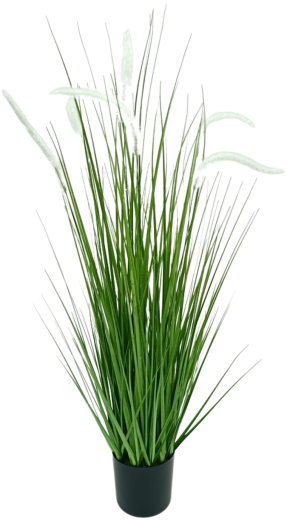 Fehér Pennisetum műfű cserépben, 90 cm