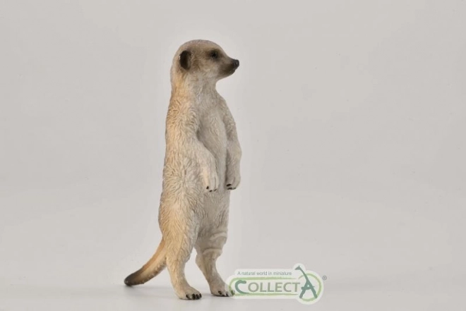 Collecta álló szurikáta figura