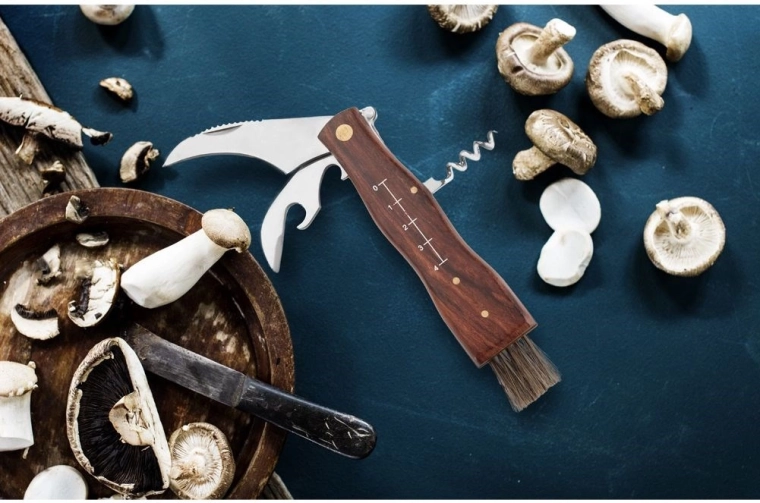 Multifunkciós felszerelés a természetbe