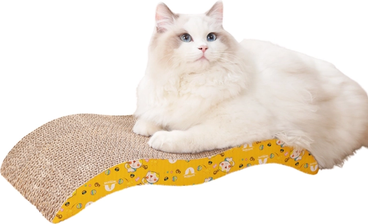 Hely kaparáshoz és relaxhoz