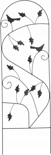 Könnyű elhelyezés talajban és virágcserépben is